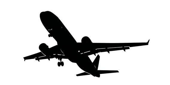 Black silhouette of an airliner in flight, side view